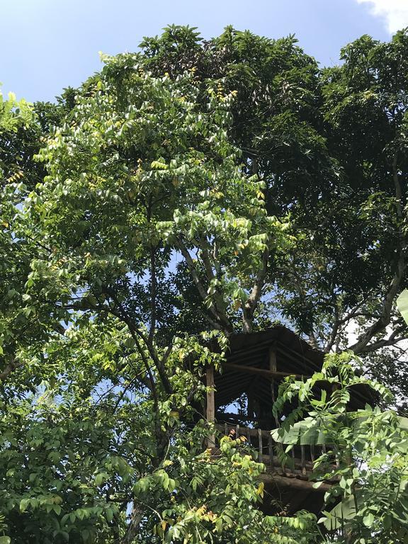 Hotel Plantation Retreat Pathadumbara Esterno foto