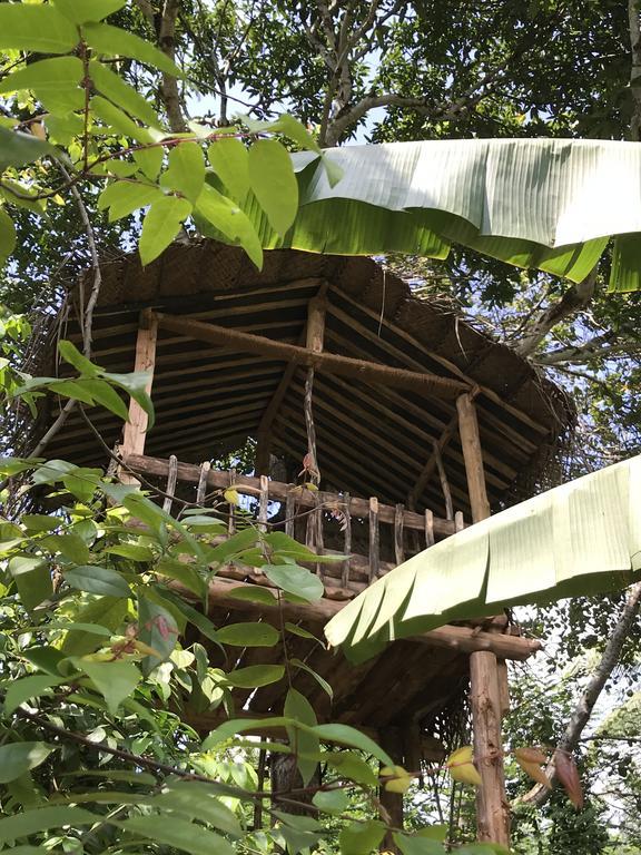 Hotel Plantation Retreat Pathadumbara Esterno foto